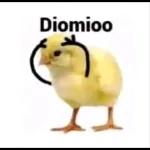 POR QUÉ?