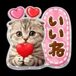 かわいい猫の写真 ぷくぷく