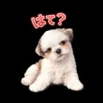 モカのスタンプ　幼少期編