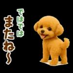 毎日使える【挨拶★返事】トイプードル