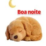 Adesivos de cachorro