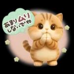 ちびニャンず♡ずっと使える-秋冬-