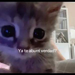 Ya te aburrí verdad? - getsticker.com