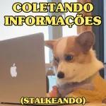 por mim voltei
