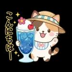 こころ晴れる毎日です