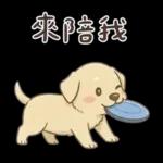 小拉拉 實用日常