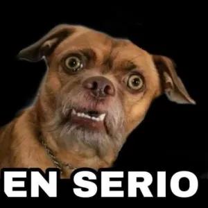 EN SERIO - getsticker.com