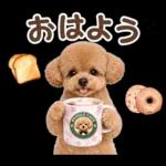 春♡とってもかわいいトイプードル