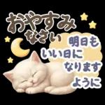 にゃんこ達の❤️気持ちたっぷり長文❤ねこ