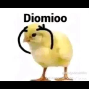 Diomioo - getsticker.com