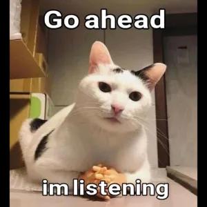 Go ahead im listening - getsticker.com