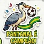 FIFA 2026 GOL！
