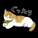 あけおめにゃん午