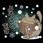 黒ねこの秋・冬便り