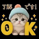 スコティッシュ猫 カラフル帽 夏 敬語
