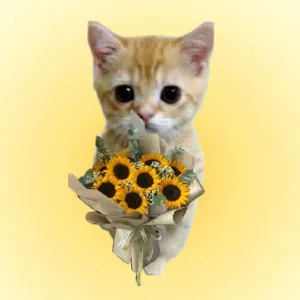 getsticker.com