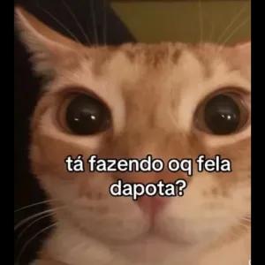 6aSOiE