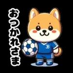 サッカー大好きな柴犬