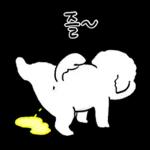 또리는 소심하지만 참지않지