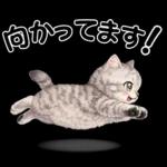 うり坊のもふもふ日常スタンプ