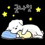 또리는 소심하지만 참지않지