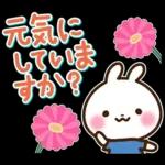 うさぎさん 春・梅雨・初夏