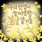 향기로운 봄꽃 메세지