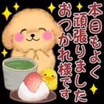 あはははははっ