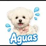 Toca para verlos
