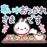 うさぎさん やさしい春の気づかい