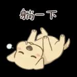 平平安安才是福🧧