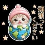 かわいい猫 ぷっくり カラフル 敬語