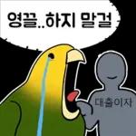 투자 전문가, 껄무새