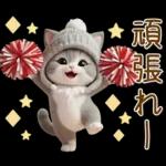 スコティッシュ猫 可愛いグレーニット 冬