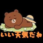 ぽかぽかくまさんの春