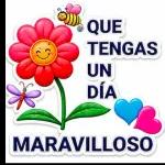 QUE TENGAS UN DÍA MARAVILLOSO