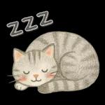 猫がいっぱい♡ふんわり可愛い秋＆冬