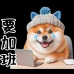 圓柴柴18:祝你有個可愛的一天❤️