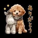 午年2026年！プードルとうまの年末年始