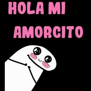 HOLA MI AMORCITO - getsticker.com