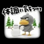 目ヂカラ強め☆ずんぐりなハシビロコウ②