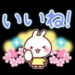 うさぎさん やさしい春の気づかい