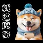 圓柴柴18:祝你有個可愛的一天❤️