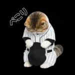 野球をする猫