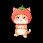 毎日使える 茶トラねこ 春 日常 いちご帽子