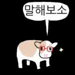 호기심 많은 소