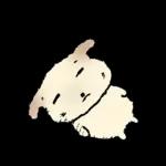 쌀개 쌀멍이에yo4