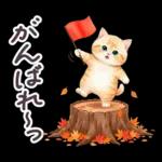 秋冬 毎日使える コスにゃんず 日常