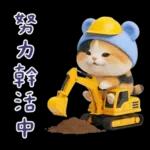 可愛小花貓超能幹的啦❤