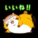 まんまるラスカル☆ヘルシーになろう